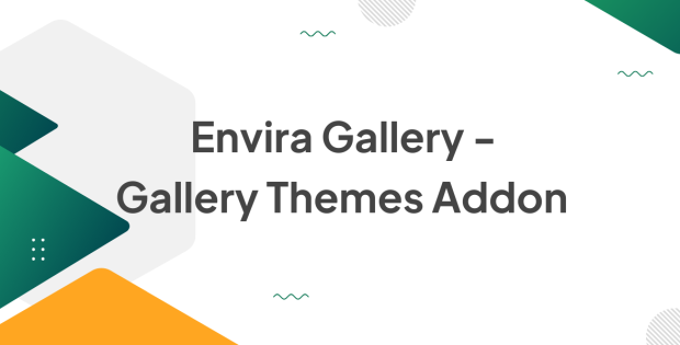 Envira Gallery - Gallery Themes Addon 2.0.6